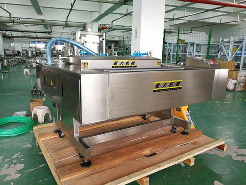真空食品包裝機(jī) 全自動(dòng)連續(xù)式食品真空包裝機(jī) 星火機(jī)械設(shè)備