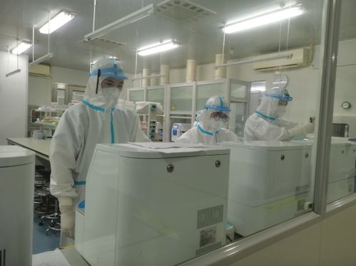 探訪 鄭州市核酸檢測(cè)結(jié)果如何準(zhǔn)確快速出爐